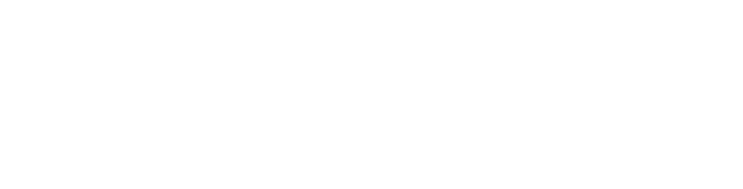 P1 Investment Platform